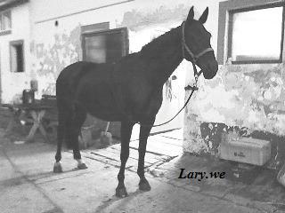 Frajinka (7) - Kopie.jpg