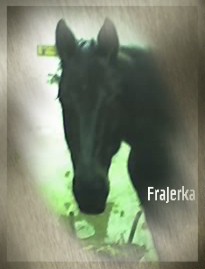 Frajinka (13) - Kopie.jpg